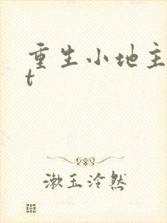 重生小地主txt封面