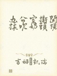 办公室撕开奶罩揉吮奶头视频