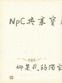 NpC共享宝贝