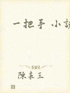 一把手 小说