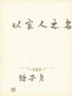 以家人之名小说
