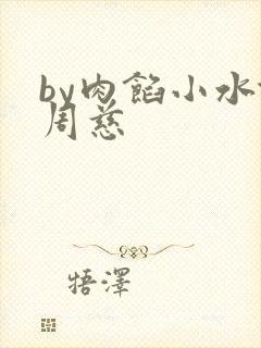 by肉馅小水饺周慈封面