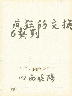 疯狂的交换1一6系列