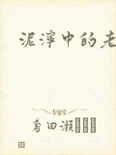 泥泞中的老虎封面