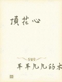 顶花心封面