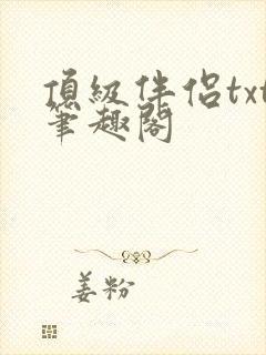 顶级伴侣txt笔趣阁