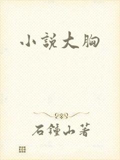 小说大胸