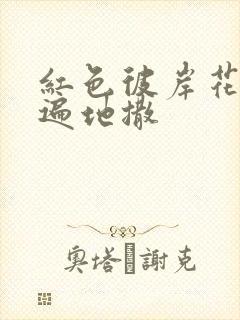 红色彼岸花花瓣遍地撒