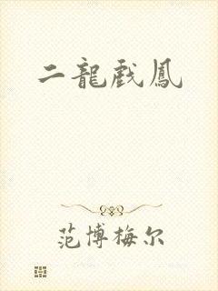 二龙戏凤
