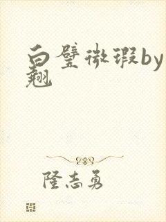 白璧微瑕by连翘封面