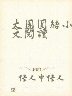 大团圆结小茹全文阅读