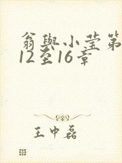 翁与小莹第十部12至16章