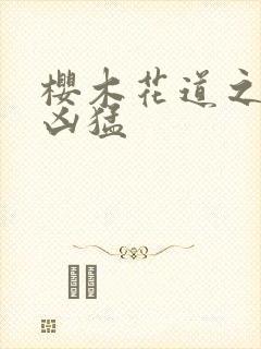 樱木花道之重生凶猛封面