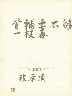 首辅要不够po一枝春