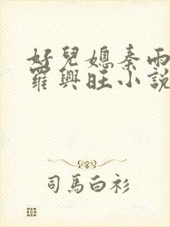 好儿媳秦雨罗明罗兴旺小说