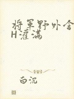 将军野外含公主H灌满封面