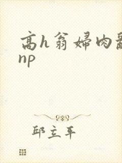 高h翁妇肉乱文np封面