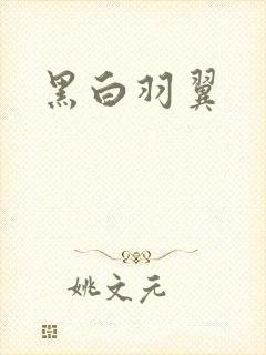 黑白羽翼