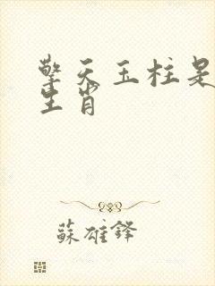 擎天玉柱是什么生肖