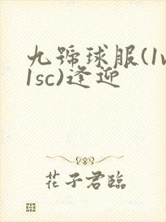 九号球服(1v1sc)逢迎