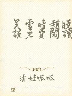 吴雪晴赵晓东小说免费阅读封面