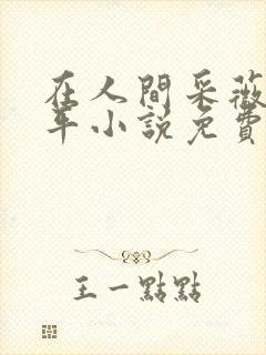 在人间采薇陆三平小说免费阅读封面