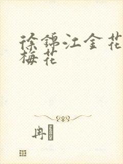 徐锦江金花瓶楷梅花封面