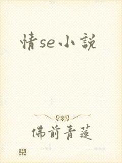 情se小说