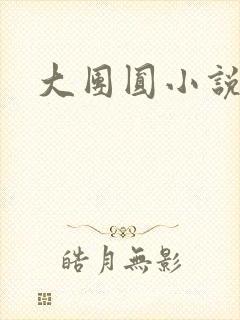 大团圆小说