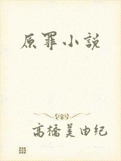 原罪小说封面