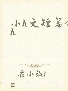 小h文短篇合集h
