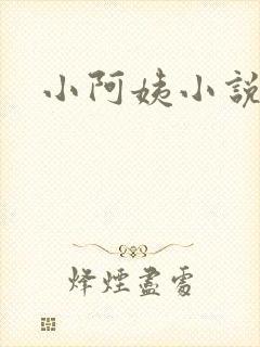 小阿姨小说