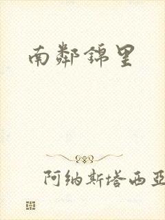 南邻锦里封面