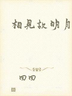 相见故明月