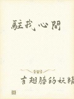 驻我心间