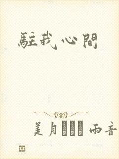 驻我心间