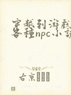 穿越到游戏里和各种npc小说