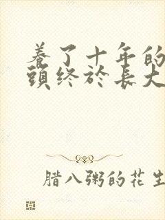 养了十年的小丫头终于长大了