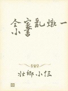 全家乱炖一锅烩小书