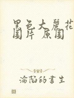 黑色大丽花真实图片 原图