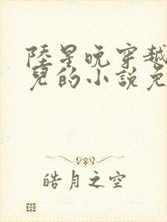 陆星晚穿越成婴儿的小说免费阅读全文封面