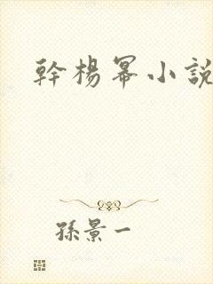 干杨幂小说