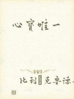心宝唯一