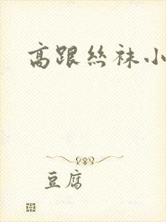 高跟丝袜小说