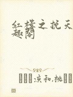 红楼之挽天倾笔趣阁