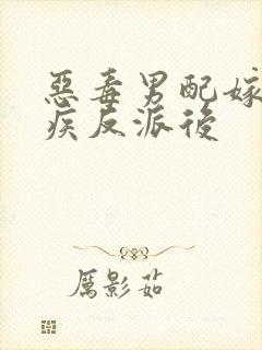 恶毒男配嫁给残疾反派后封面