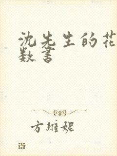 沈先生的花式调数书