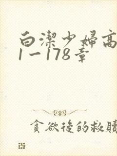 白洁少妇高义第1一178章