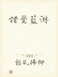 错觉蓝淋封面