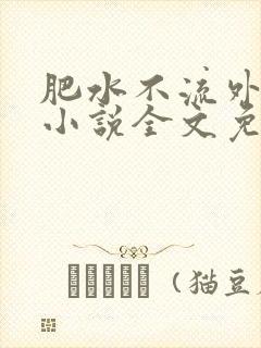 肥水不流外人田小说全文免费阅读全本免封面